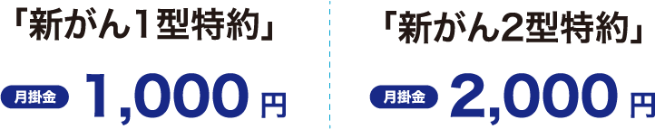 「新がん1型特約、新がん2型特約」