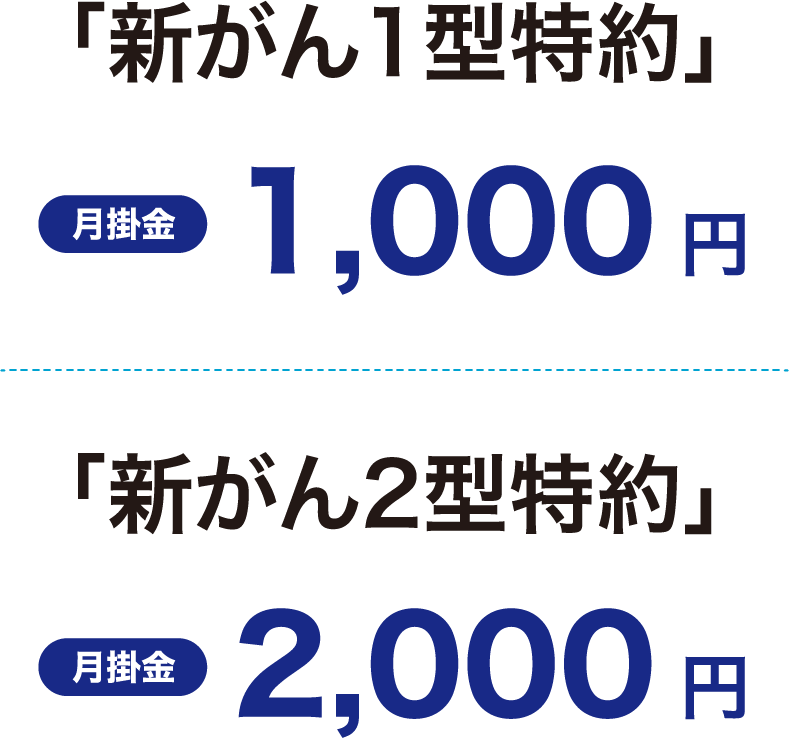 「新がん1型特約、新がん2型特約」