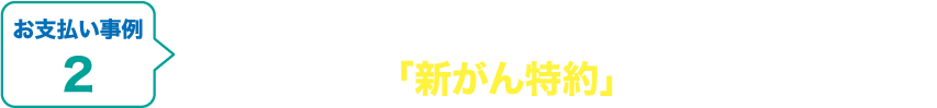 女性特有のがんや上皮内がんも含む、全てのがんに手厚く備える「新がん特約」
