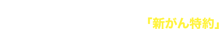 女性特有のがんや上皮内がんも含む、全てのがんに手厚く備える「新がん特約」